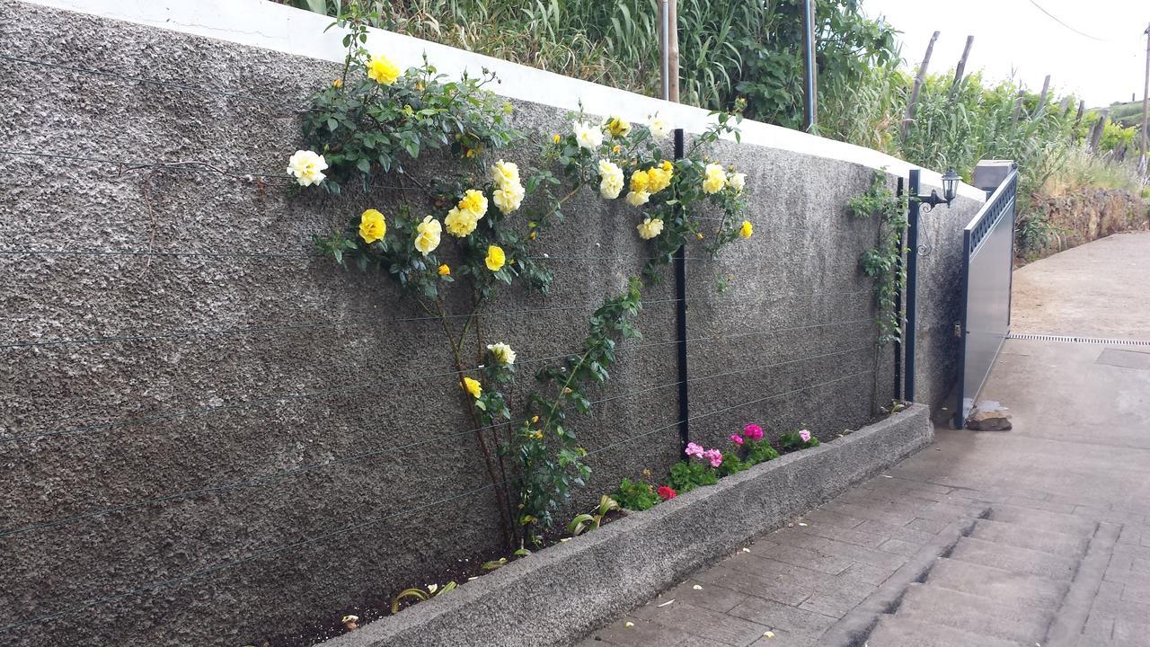 Paraiso Das Flores Estreito Da Calheta Экстерьер фото