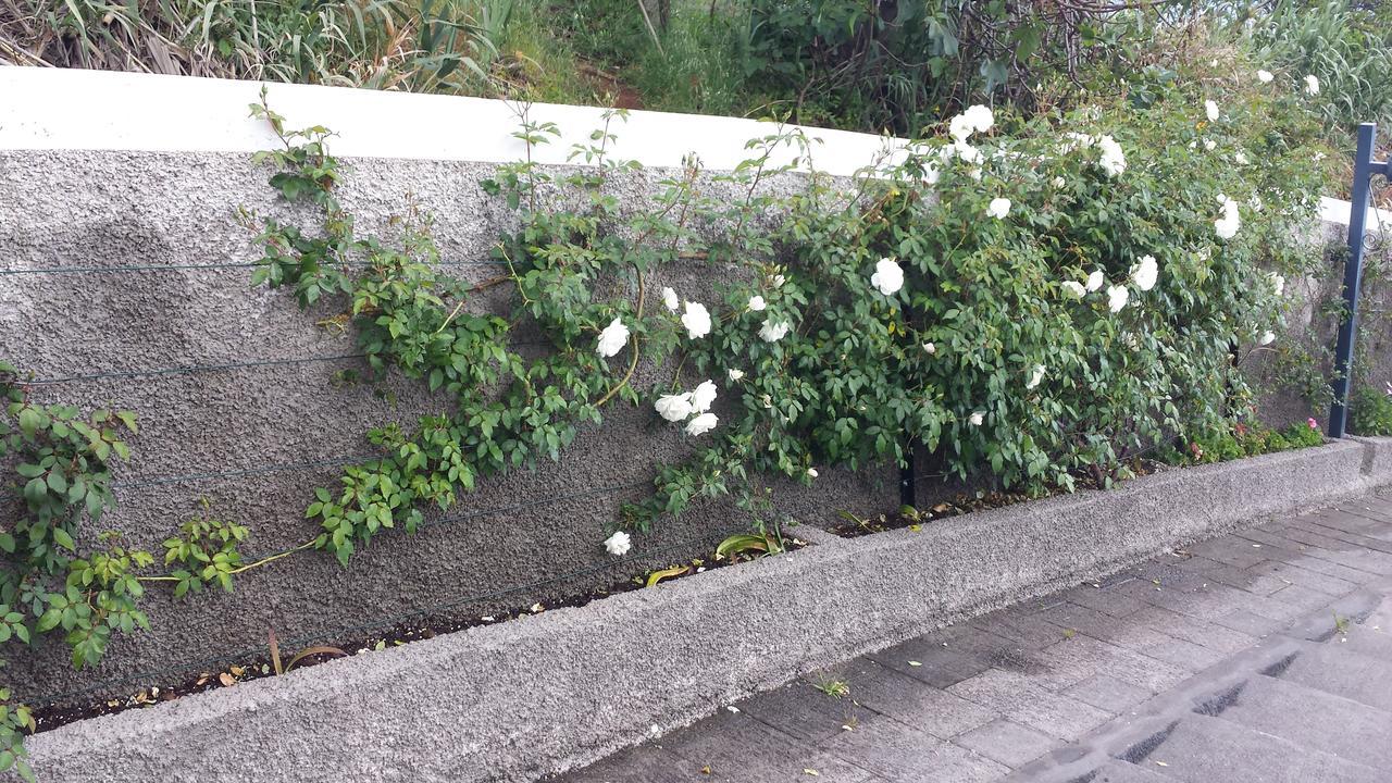 Paraiso Das Flores Estreito Da Calheta Экстерьер фото