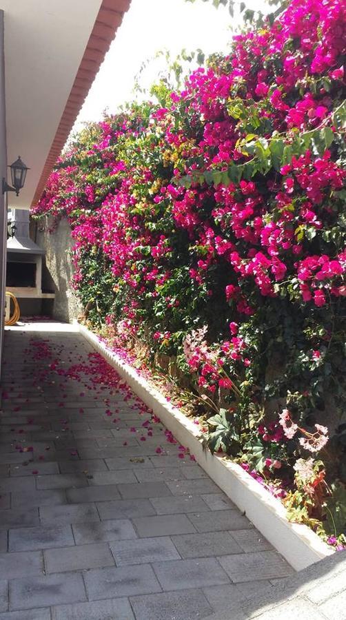 Paraiso Das Flores Estreito Da Calheta Экстерьер фото