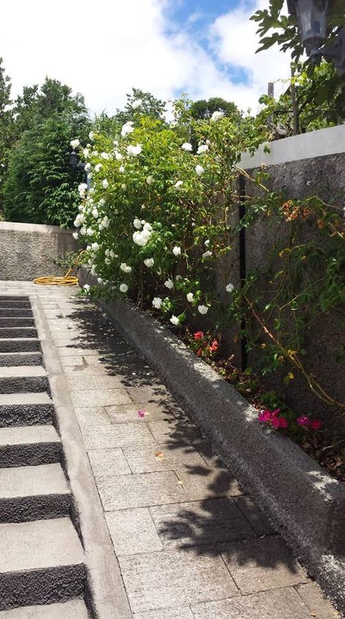 Paraiso Das Flores Estreito Da Calheta Экстерьер фото